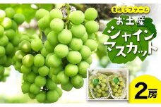 ＜2025年度発送分＞早起き農家の直送便　お土産シャインマスカット2房_ シャインマスカット ふるさと納税 ぶどう 葡萄 ブドウ マスカット 果物 くだもの フルーツ 産直 産地直送 岡山県 津山市 化粧箱 贈答 ギフト プレゼント 送料無料 【1519537】