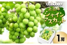 ＜2025年度発送分＞早起き農家の直送便　上出来シャインマスカット1房【1519573】