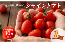 シャイントマト　1キロ 500g×2袋【1607127】