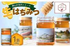 自然が生んだスーパーフード　生はちみつ　200g×1本(津山産)【1529655】