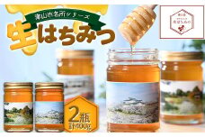 自然が生んだスーパーフード　生はちみつ　200g×2本(津山産)【1529661】