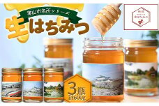 自然が生んだスーパーフード　生はちみつ　200g×3本(津山産)【1441631】