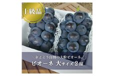 ＜きよとうファーム＞大粒ピオーネ!口いっぱいに甘さが広がる 上級 2房/計1.3kg～ (岡山県産)【1604053】