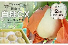 ＜2025年先行予約＞2025年10月上旬頃より発送予定・希少品種の岡山の白桃・CX(2kg箱)【1577928】