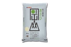 ＜天満屋選定品＞岡山県産あさひ米・きぬむすめ食べ比べセット(各5kg×1袋)【1552600】