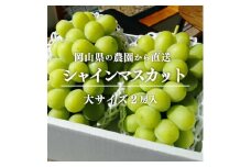 ＜きよとうファーム＞シャインマスカット 大2房入/計1.3kg~(岡山県産)【1548991】