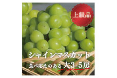 ＜きよとうファーム＞シャインマスカット 上級品 大3-5房/計2.4kg~(岡山県産)【1548983】
