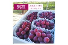 ＜きよとうファーム＞ワインレッドの葡萄「紫苑(しえん)」特選品 3-5房/計2.4kg～(岡山県産)【1549077】