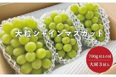 ＜きよとうファーム＞大粒で大房のシャインマスカット 大サイズ3房入 各700g～(岡山県産)【1551274】