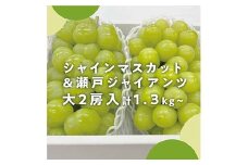 ＜きよとうファーム＞瀬戸ジャイアンツ&シャインマスカット 大2房入/計1.3kg～(岡山県産)【1555977】