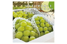 ＜きよとうファーム＞秋の葡萄 シャインマスカット&瀬戸ジャイアンツ 3-5房/計2kg(岡山県産)【1556103】