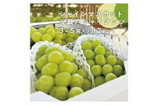 ＜きよとうファーム＞秋の葡萄 シャインマスカット&瀬戸ジャイアンツ 3-5房/計2kg(岡山県産)【1556103】
