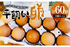 津山市産・平飼い卵50個+割れ保証10個【1432658】