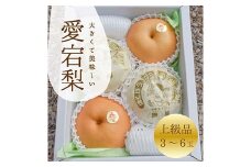 ＜きよとうファーム＞あたご梨 上級品 3-6玉入(岡山県産)_梨 愛宕梨 なし あたご梨 あたごなし 和梨 ナシ 甘い 果物 くだもの フルーツ デザート 岡山県 津山市 産直 産地直送 国産 箱 化粧箱 贈答 ギフト プレゼント 贈り物 送料無料【1559969】