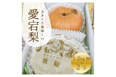 ＜きよとうファーム＞あたご梨 上級品 2玉入(1.2㎏級/玉)(岡山県産)【1559963】