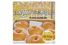 ＜きよとうファーム＞あたご梨 ご家庭用/約5kg(岡山県産)_ 梨 ふるさと納税 なし ナシ 愛宕梨 あたご梨 甘い 果物 フルーツ くだもの デザート 岡山県 津山市 約5kg 国産 産直 産地直送 家庭用 ギフト プレゼント 送料無料 【1566274】