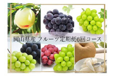 ＜発送月固定定期便＞岡山県産 フルーツ定期便〈お一人様向け〉全6回_シャインマスカット 白桃 ニューピオーネ 梨 もも ぶどう 葡萄 ブドウ 果物 くだもの フルーツ 定期便 岡山県 津山市 産直 送料無料【4066369】
