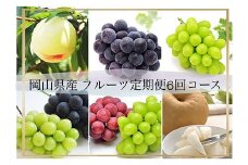 ＜発送月固定定期便＞岡山県産 フルーツ定期便〈お一人様向け〉全6回_シャインマスカット 白桃 ニューピオーネ 梨 もも ぶどう 葡萄 ブドウ 果物 くだもの フルーツ 定期便 岡山県 津山市 産直 送料無料【4066369】