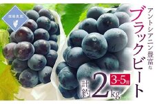 ＜先行予約 2025年発送＞岡山県産　アントシアニン豊富な　ブラックビート　3房～5房(合計2kg)_ ぶどう ふるさと納税 葡萄 ブドウ ブラックビート 果物 くだもの フルーツ 岡山県 津山市 産直 産地直送 ギフト 送料無料 【1562227】