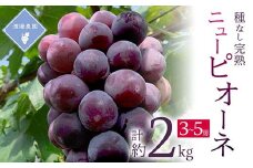 ＜先行予約 2025年発送＞岡山県産　種なし完熟 ニューピオーネ　3房～5房(合計2kg)【1562279】