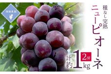 ＜先行予約 2025年発送＞岡山県産　種なし完熟 ニューピオーネ　2房(1kg)【1562272】