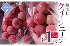 ＜先行予約 2025年発送＞岡山県産　クイーンニーナ 2房 合計約1kg【1562286】