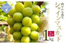 ＜先行予約 2025年発送＞岡山県産　シャインマスカット　2房(合計1kg)_ぶどう 葡萄 ブドウ シャインマスカット 緑ぶどう 種なし たねなし 皮ごと 1kg セット 果物 フルーツ 贈答 ギフト 人気 岡山県 津山市 送料無料【1562241】