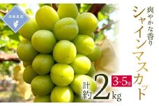 ＜先行予約 2025年発送＞岡山県産　シャインマスカット　3房～5房(合計2kg)_シャインマスカット ぶどう 葡萄 ブドウ マスカット 果物 くだもの フルーツ 種無し 岡山県 津山市 産直 産地直送 ギフト プレゼント 送料無料【1562256】