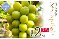 ＜先行予約 2025年発送＞岡山県産　シャインマスカット　3房～5房(合計2kg)_シャインマスカット ぶどう 葡萄 ブドウ マスカット 果物 くだもの フルーツ 種無し 岡山県 津山市 産直 産地直送 ギフト プレゼント 送料無料【1562256】
