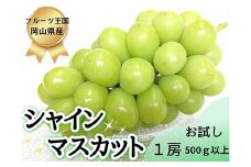 ＜2025年先行受付＞お試しフルーツ王国岡山シャインマスカット500g以上!　朝採れぶどう1房_ シャインマスカット ふるさと納税 ぶどう 葡萄 ブドウ マスカット 朝採れ 果物 くだもの フルーツ 岡山県 津山市 産直 送料無料 【1566944】