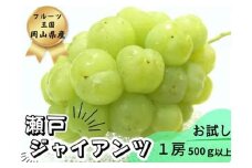 ＜2025年先行受付＞お試し　朝採り新鮮!人気ぶどう瀬戸ジャイアンツ1房　500g以上_ ぶどう 葡萄 ブドウ 果物 フルーツ 岡山県 津山市 おすすめ 人気 送料無料 【1566950】