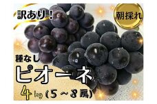 ＜2025年先行受付＞訳あり岡山県産ピオーネ4kg【1571848】