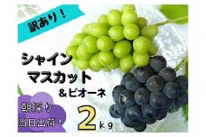 ＜2025年先行受付＞訳あり岡山県産ぶどう詰合せ2kg(シャインマスカット+ピオーネ)【1566981】