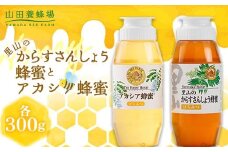 里山のからすさんしょう蜂蜜 300gとルーマニア産アカシア蜂蜜 300gの食べ比べセット【1607413】