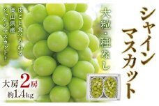 岡山県産シャインマスカット大房＜2025年9月末以降順次発送＞_ シャインマスカット ふるさと納税 ぶどう 葡萄 ブドウ マスカット 果物 くだもの フルーツ 岡山県 津山市 産直 産地直送 贈答 ギフト プレゼント 送料無料 【1583563】