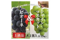＜きよとうファーム＞ピオーネ&シャインマスカット 上級品 大2房 /計1.3kg～(岡山県産)【1571760】