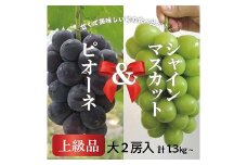 ＜きよとうファーム＞ピオーネ&シャインマスカット 上級品 大2房 /計1.3kg～(岡山県産)【1571760】