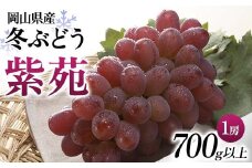 ◆先行受付◆　岡山県産　冬ぶどう「紫苑」　2025年発送【1350315】