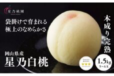 ＜星乃白桃＞岡山県の桃園からお届けする三つ星の桃 1.5kg(5～6玉)【1614279】