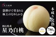 ＜星乃白桃＞岡山県の桃園からお届けする三つ星の桃 780g (3玉)【1614281】