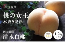 先行受付＜清水白桃＞岡山県産 三つ星 星乃桃園 1.2kg (4～5玉)【1614283】