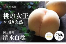先行受付＜清水白桃＞岡山県産 三つ星 星乃桃園 780g (3玉)【1614286】