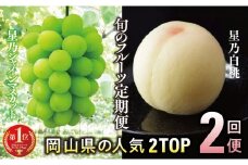 ＜発送月固定定期便＞＜人気セット＞星乃フルーツ 桃+シャインマスカット全2回【4067234】
