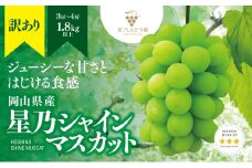 訳あり星乃シャインマスカット(岡山県産) 3～4房(1.8kg以上)【1626442】