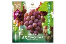 ＜三つ星＞プレミアム星乃クイーンニーナ 数量限定 1房(700g)【1601598】