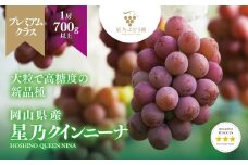 ＜三つ星＞プレミアム星乃クイーンニーナ 数量限定 1房(700g)【1601598】