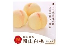 岡山県産　白桃 6玉(1.5kg以上) 等級:ロイヤル 化粧箱入り【1499099】