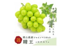 岡山県産 シャインマスカット『晴王』2房(1房480g以上) 化粧箱入り【1499104】