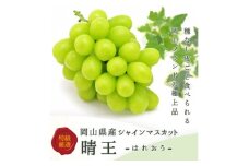 岡山県産 シャインマスカット『晴王』2房(1房480g以上) 化粧箱入り_シャインマスカット ぶどう 葡萄 ブドウ 晴王 はれおう 大粒 種なし 高糖度 果物 フルーツ ギフト 人気 岡山県 津山市 送料無料【1499104】