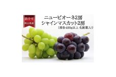 岡山県産詰合/ニューピオーネ2房(1房480g以上)・シャインマスカット晴王2房(1房480g以上)【1499106】